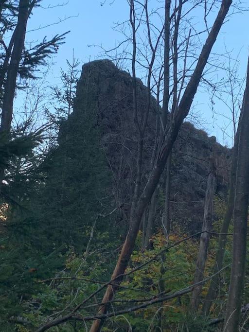 Jermerstein-Haeuschen Braunlage Exteriör bild