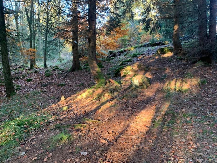 Jermerstein-Haeuschen Braunlage Exteriör bild