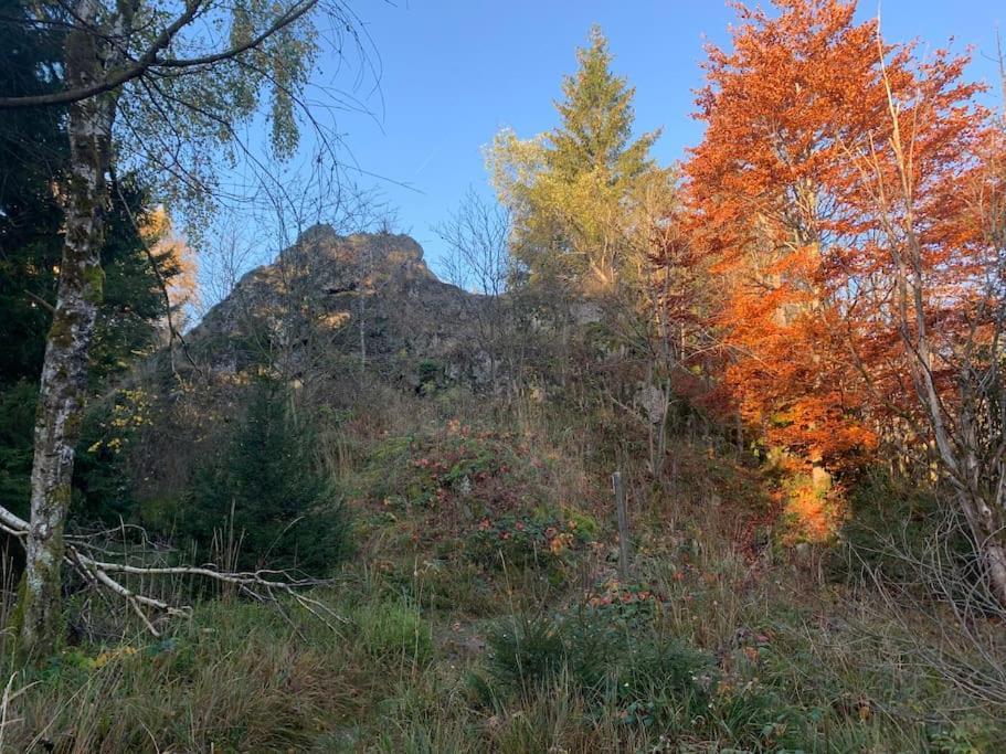 Jermerstein-Haeuschen Braunlage Exteriör bild