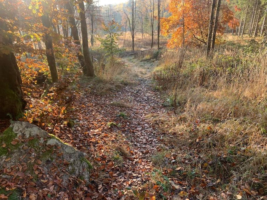 Jermerstein-Haeuschen Braunlage Exteriör bild